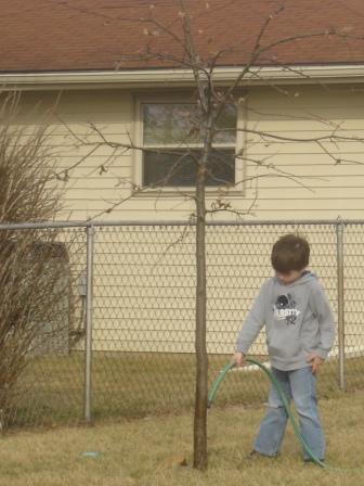 BackyardWork1