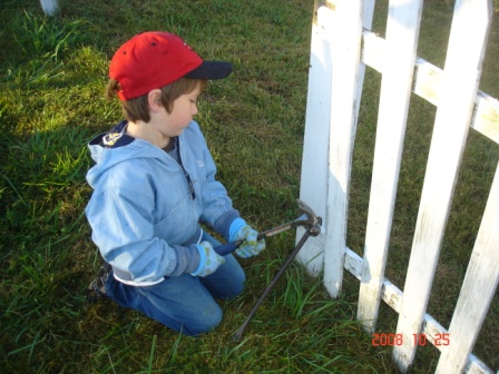 Fence6