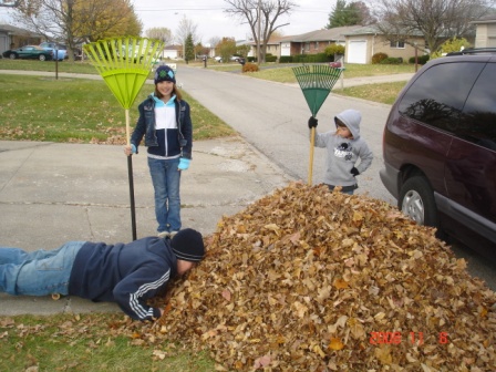 Leaves4