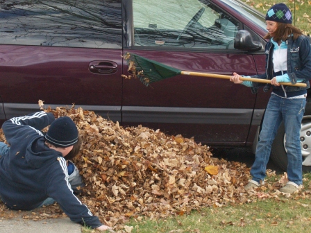 Leaves8