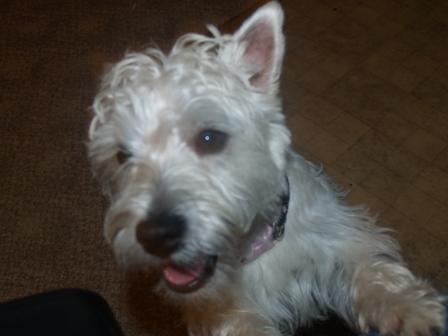 Lola1