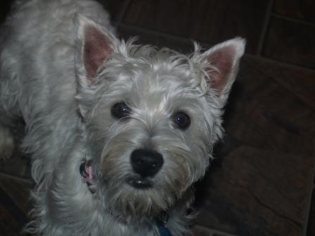 Lola2