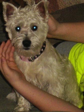 Lola3