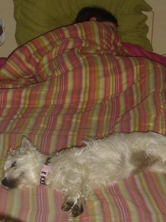Lola5