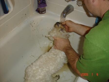 Grubby2