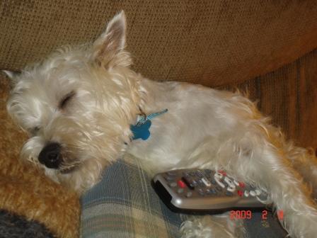 LolaRemote