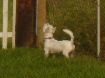 LolaSquirrel