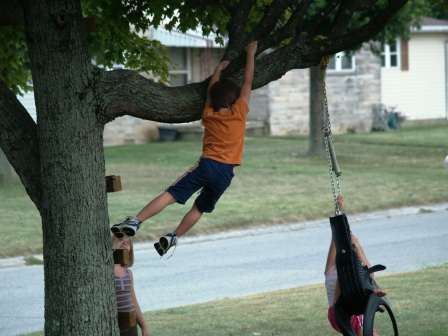 LukeTree2