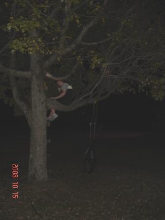 MattTPtree