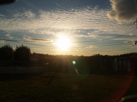 NewFenceSunset