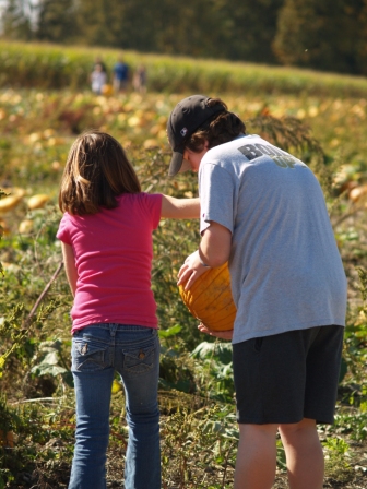 PumpkinPatch1