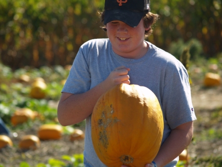 PumpkinPatch4