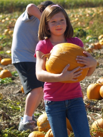 PumpkinPatch5