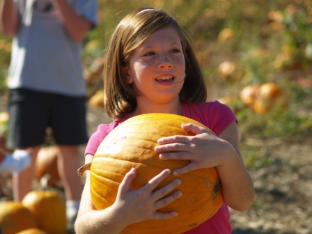 PumpkinPatch6