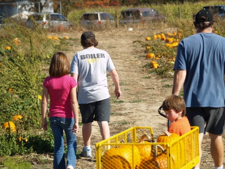 PumpkinPatch8