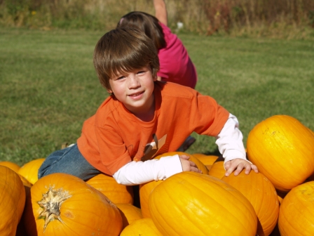PumpkinPatch9
