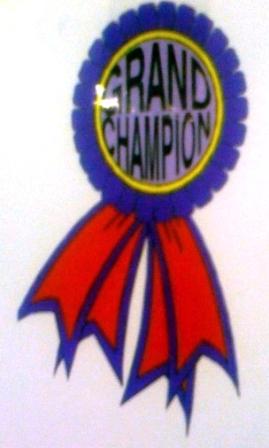 ScienceFairGrandChamp5