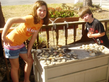 Shells1