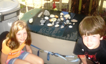 Shells2