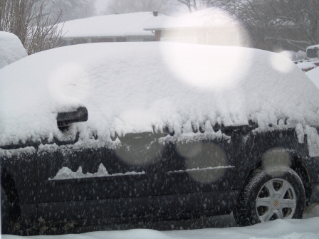 Snowday9