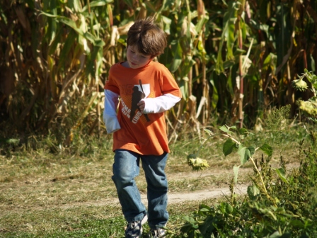 SunflowerMaze2
