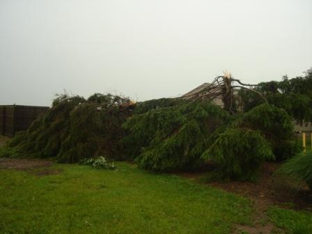 TornadoCBC