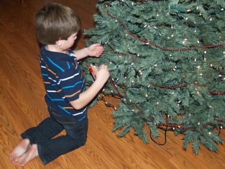 TreeUp1