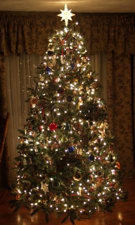TreeUp12