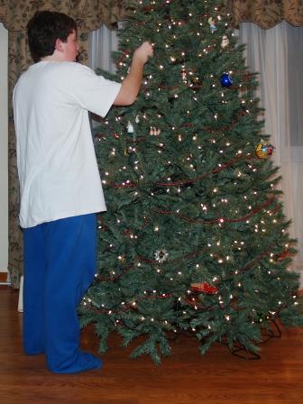 TreeUp3