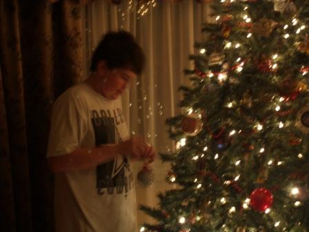 TreeUp8