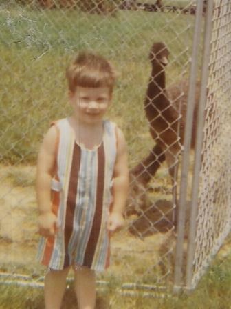 WayBackMachine328