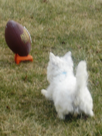 XmasFootball